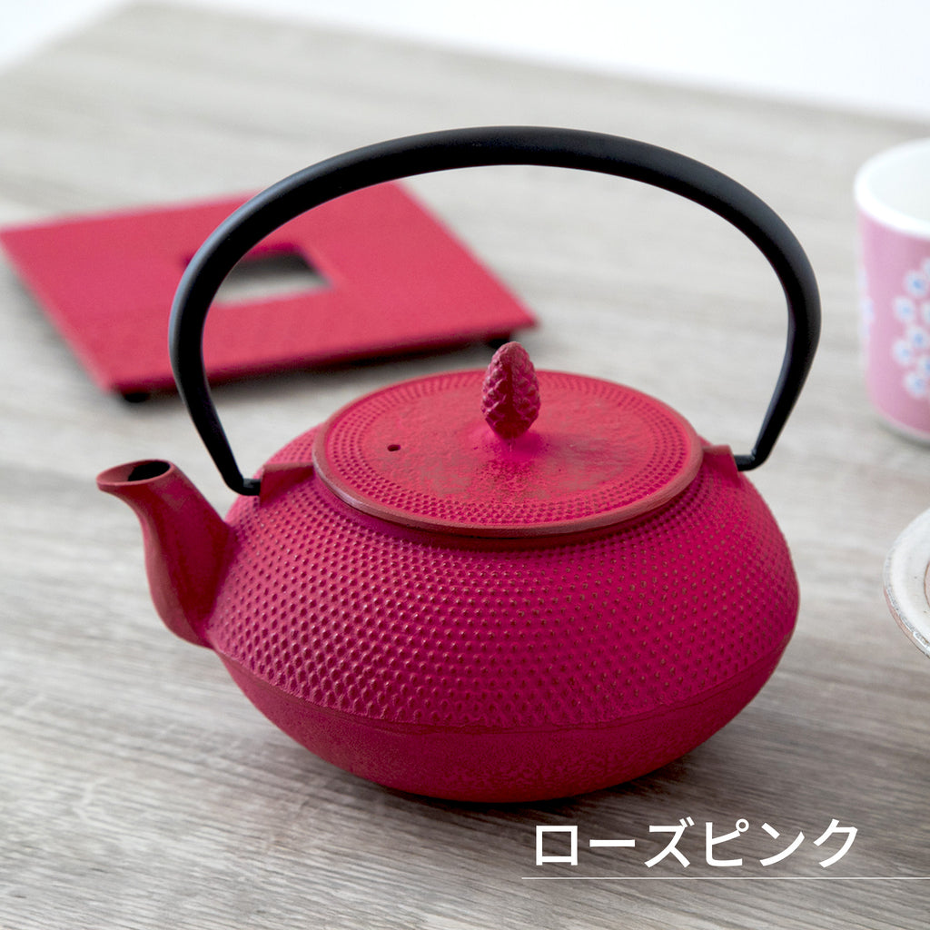 ロジアソシエイツ 南部鉄器 急須 アラレ 0.6L
