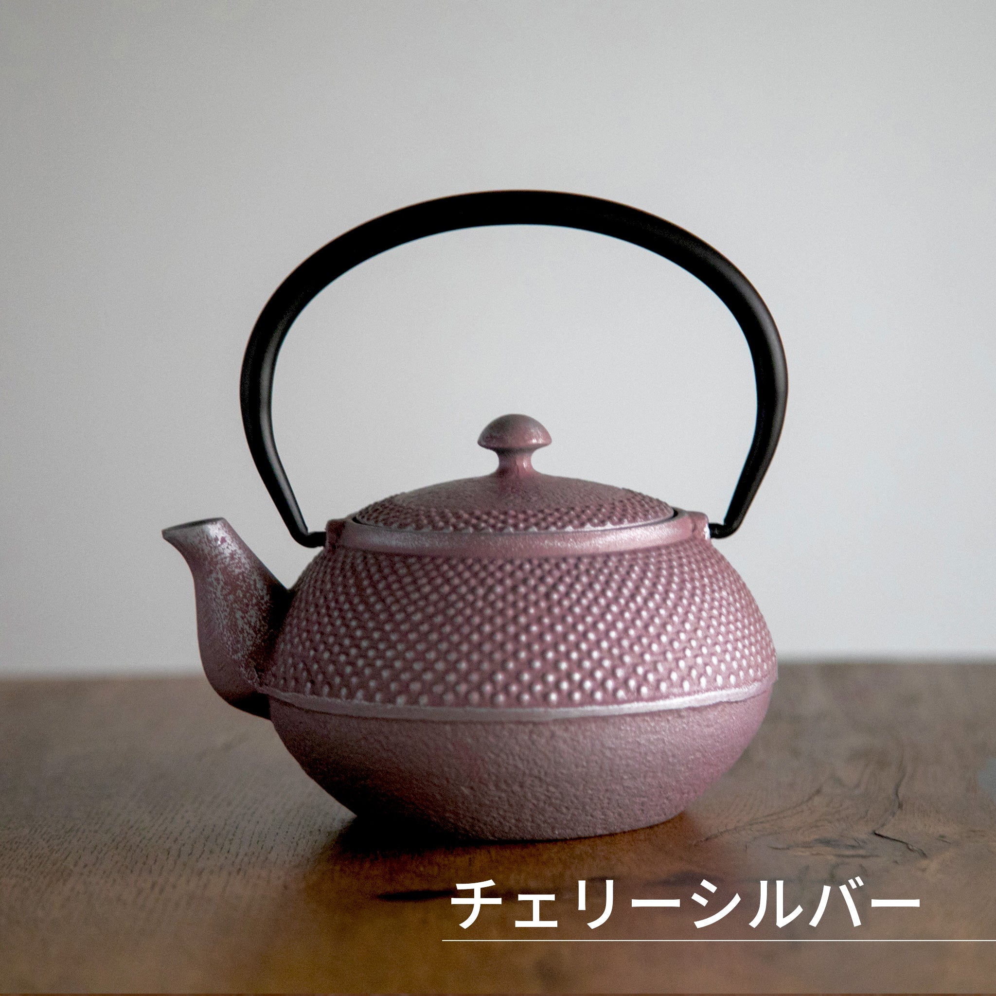 ロジアソシエイツ 南部鉄器急須 あられ 0.4L
